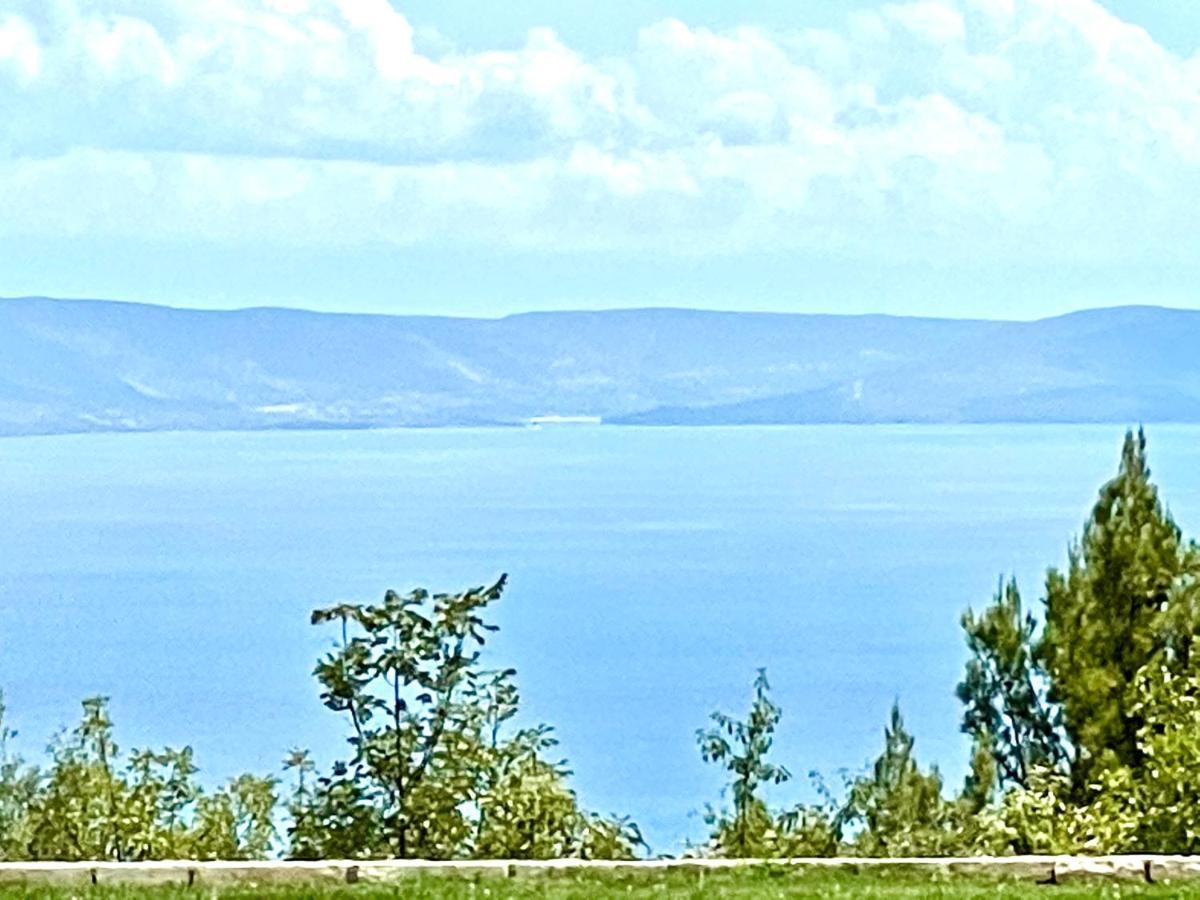 Luxury Panorama Vila With Amazing Seaview In Gondolici 7 Km From Rabac 라빈 외부 사진