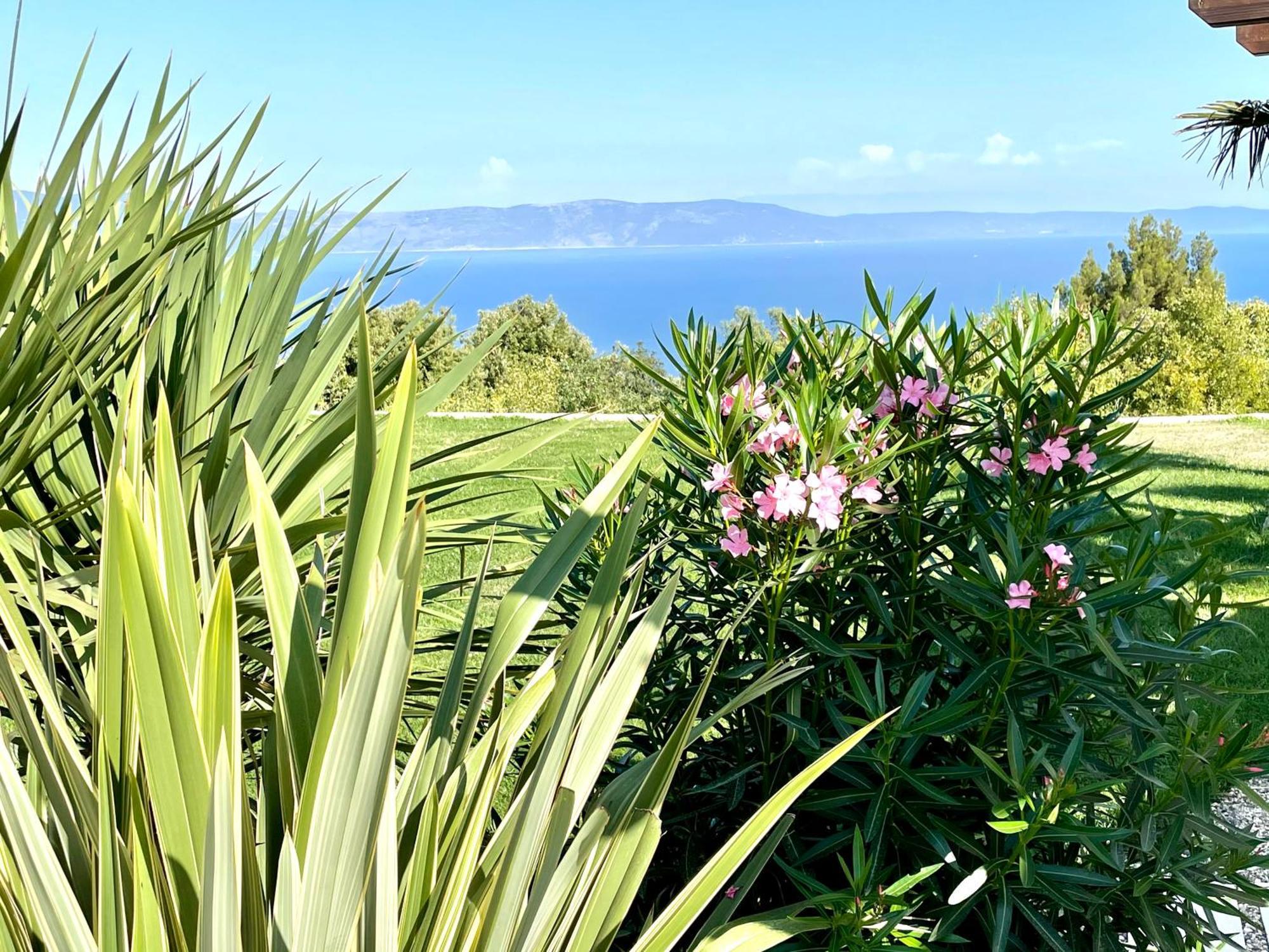 Luxury Panorama Vila With Amazing Seaview In Gondolici 7 Km From Rabac 라빈 외부 사진